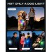 Cuvccn 100LM Warning Light for Dog Walking, Bag, Stroller, Camping, 2 Pack 4 Modes & RGB Hands Free Flashlights, Dog Collar Light Rechargeable, Waterproof & Zinc Alloy Dog Lights for Night Walking