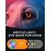 Cuvccn 100LM Ultra Bright Dog Collar Light Rechargeable, Dog Lights for Night Walking -4 Modes & RGB, IP66 Waterproof, Thickened Zinc Alloy Dog Light Clip On for Running, Camping, Hiking Cuvccn 100LM Ultra Bright Dog Collar Light Rechargeable, Dog Lights for Night Walking -4 Modes & RGB, IP66 Waterproof, Thickened Zinc Alloy Dog Light Clip On for Running, Camping, Hiking